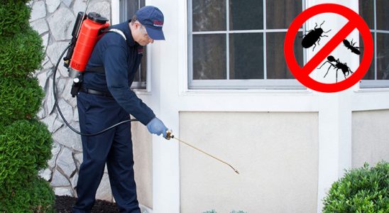 Akyaka Gümüşkurt İlaçlama böcek ilaçlama ve haşere kontrolü — ilaclama-tr.com
